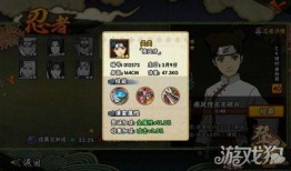 忍者生存最新更新爆料,新版本爆料揭秘，神秘技能与全新挑战即将来袭！